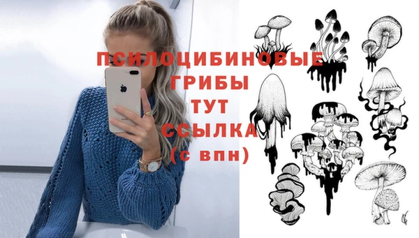 сатива Алексеевка