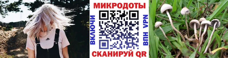Галлюциногенные грибы Magic Shrooms  даркнет сайт  Катав-Ивановск 