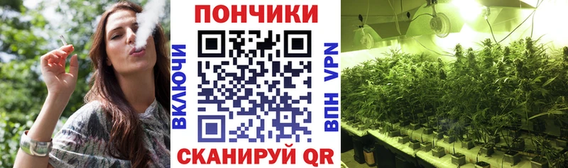 Конопля Amnesia  ссылка на мегу как войти  Катав-Ивановск  даркнет сайт 